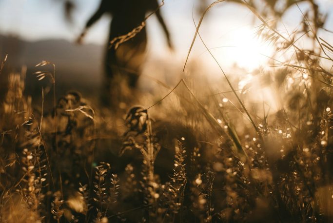 Welcome to My Work: Compassionate Support Through Life’s Transitions