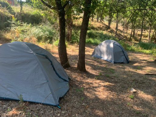 Woodland camping